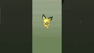 2Km Egg Hatch Pokemon Go