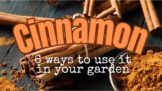 6 Surprising Ways to Use Cinnamon in Your Garden