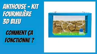 AVIS (2026) : AntHouse - Kit Fourmili&egrave;re 3D Bleu. D&Eacute;TAILS