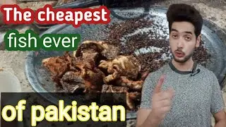 Top Cheapest Fish in Pakistan: Affordable Variety You Can Cook Daily&rdquo;