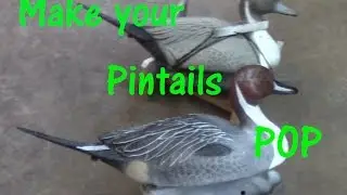 How to repaint old Pintail decoys
