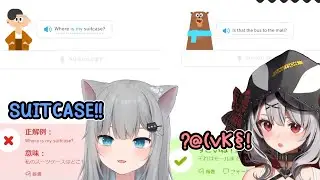 Похоже, Duolingo предпочитает косаток кошкам...