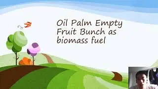MINI PROJECT - Empty Fruit Bunches as biomass fuel