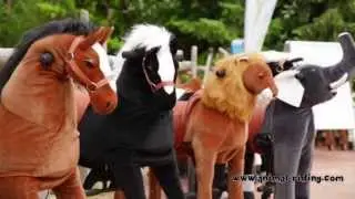 Animal-Riding HD