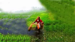 A rainy day Fish net throwing | amazing cast net fishing |  net fishing | village fishing videos
