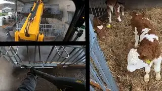 POV | Kälberstall waschen | Umstallen | Stallarbeit | GoPro