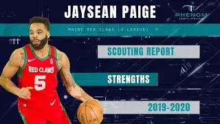 Jaysean Paige || Scouting Report by Phenom Sports Services 2019-2020