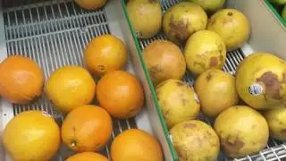 Harlem Food Injustice