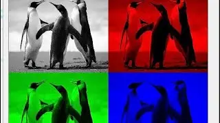 Split & Merge Image Color Channels | Computer Vision | OpenCV & Python.