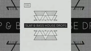 Slap & Bass House Drops | Sounds and samples