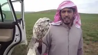 طرح منغوليا ٢٠١١م