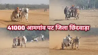 41000 आमगांव जिला छिंदवाड़ा पट 4 बड़े जोड़े के वीडियो pat pratiyogita amgaon jila Chhindwara 