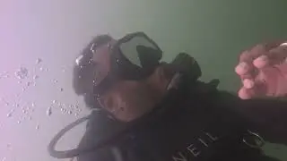 Windy Point Park Dive (Lake Travis)