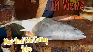 Giant Tuna Fish Cutting Video | Inspire Sri Lanka
