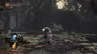 dark souls 3 how to cheese crystal sage