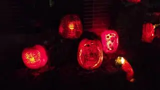 Hotdog! Them is some nicely carved pumpkins 🎃 😀