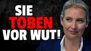 💥Presse tobt vor Wut wegen AfD USA Reise