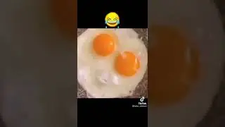 Fried egg rapping