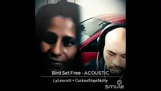 Bird set free - Cuckoo will fight for u when u feel weak