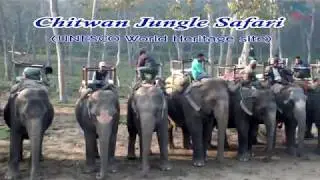 Chitwan Jungle Safari