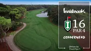 The Copperhead Course at Innisbrook Resort -  Hole 16
