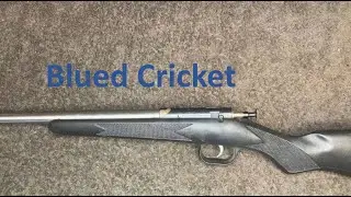 Keystone Cricket Reblue