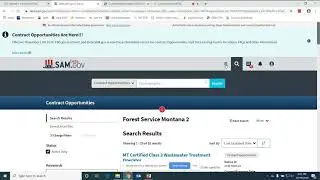 Navigating Contract Opportunities in beta.sam.gov