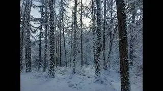 Ожидается самая низкая температура с января, снег (местами значительный), местами мороз в эти вых...