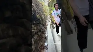 A short trip to Flume Gorge Reservation, New Hampshire.