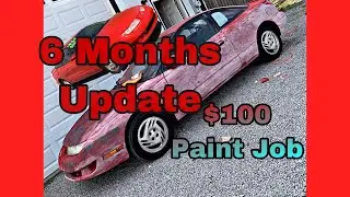Cheap Single Stage Paint Job