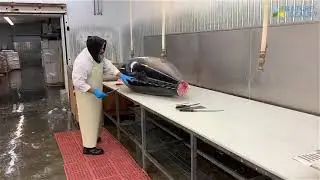 Fast Extreme Skill Cutting Giant Fish. Skill Cutting Big Tuna Fastest