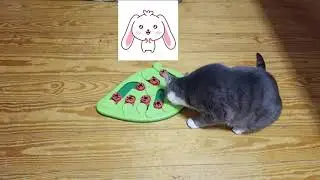 Puzzle toy from Amazon