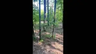 5334 W Beeman Rd, Empire, MI 49630 - $79,900: VACANT LAND - FOR SALE - REAL ESTATE