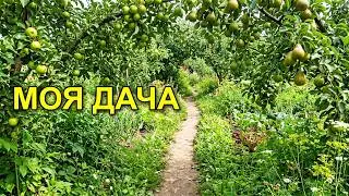 Я электрик