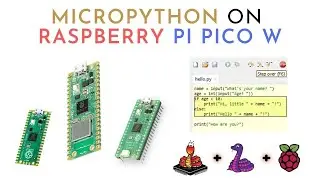 How to install Micropython on Raspberry Pi Pico W