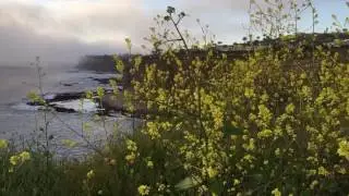 PV Loop Trail