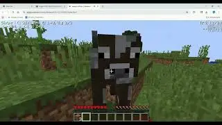 Return Playming Mincraft Hardcore