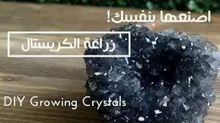 اصنعها بنفسك! زراعة الكريستال | DIY Growing Crystals