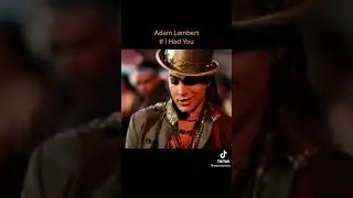 Adam Lambert if I had you  this is my favorite of this song 🎧 is touch  my life ￼