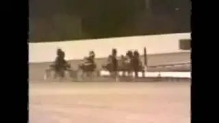 1981 Brandywine Raceway ARTIES DREAM Battle Of Brandywine Shelly Goudreau