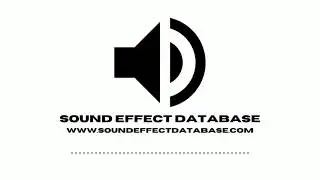 Hardcover Book Flip Through Sound Effect