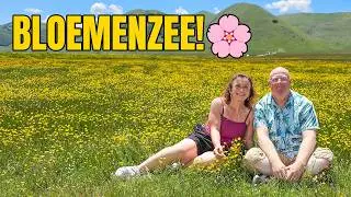 Italië Umbrië #06 De hoogvlakte van Castelluccio, Kleine Bloemetjes 🌺🌼🪻 Groots Uitzicht 🗻  | 4K