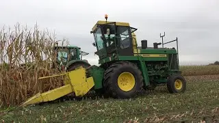 Mais hakselen met een John Deere 5400 met 4 rij maisbek en 3 John Deere trekkers (2021)