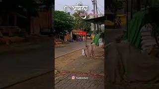 AMILA RAIN AND THUNDER.................  #netpoint#rainsounds #viralvideo #viralshorts #amila