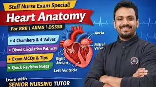 Heart Anatomy Explained | electric condation | Staff Nurse Exam Special #2