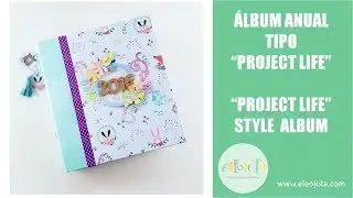 Álbum anual tipo Project Life