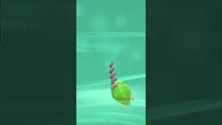 Burmy Evolving! | Pokemon Shining Pearl #Shorts