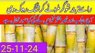 Shugarmil information today in pakistan/shugarcane rates updates today 2024/local farmers