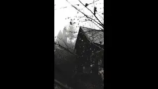 A Demon In Bed A Fiery Orb In A Tree And A Year In A Haunted House! Viewers Beware! Nightmare Alert!