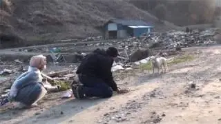 Last Chance for Animals Japan Rescue - Chuppy